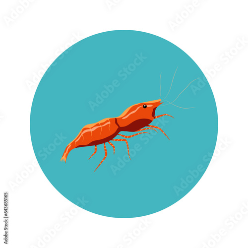 live and ready-made sea shrimp
