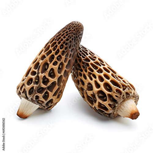 Close up of Morel Mushrooms isolated with white background. Rare seasonal Fungi found in nature. Generative ai. 