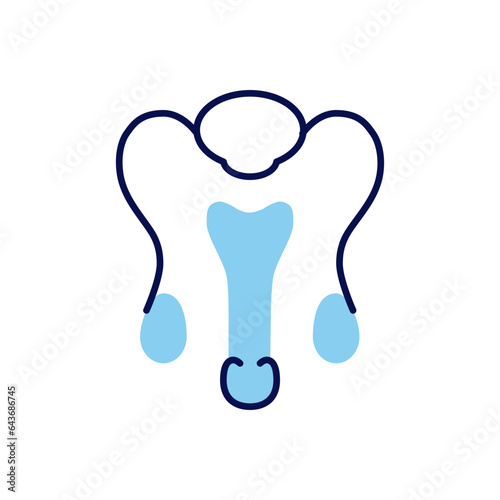Male Reproductive System Related Vector Line Icon. Isolated on White Background. Editable Stroke
