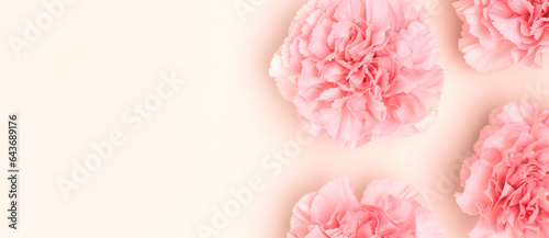 Wallpaper Mural Banner with pink carnation flowers scattered on a beige background. Floral concept. Torontodigital.ca