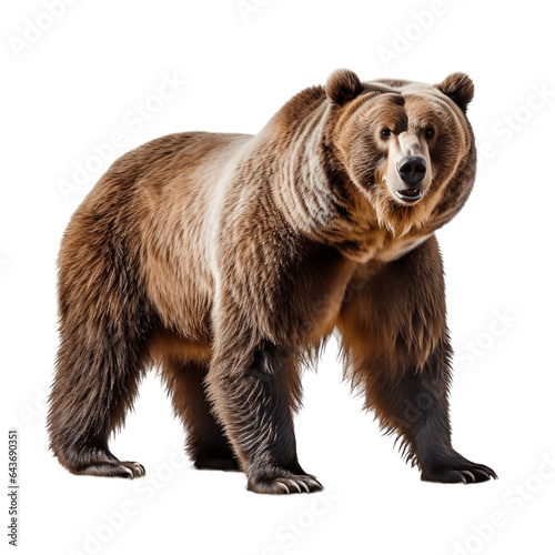Majestic Grizzly Bear on Isolated Background. Generative AI
