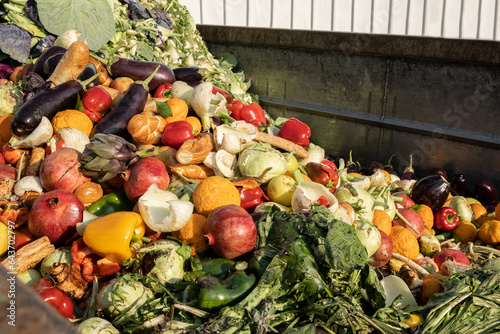Expired Organic bio waste. Mix Vegetables and fruits in a huge container, Organic Compost heap