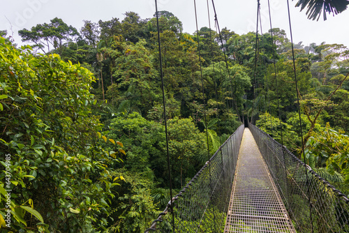 Beautiful views in Arenal Natural Park (Costa Rica)  photo