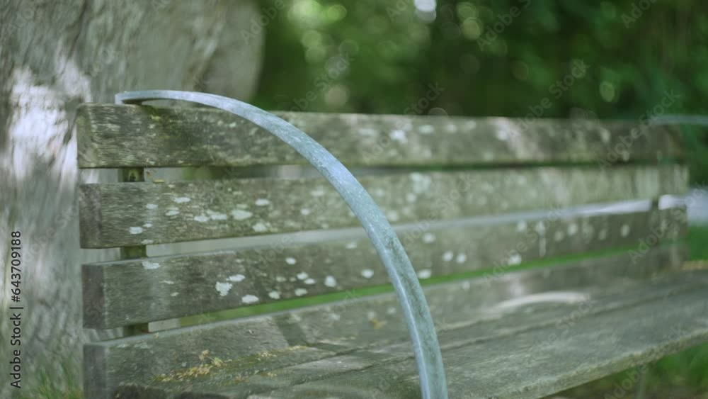 Close-up of a bench in a park. Green leaves and trees in the background. Twirling background. Blurry background. Helios 44-2 footage.