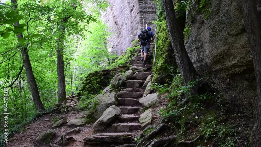 kinzua state park Rimrock rock steps, overcast day, people walking up, real time selective focus video