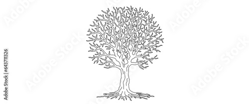 Deciduous tree line art style