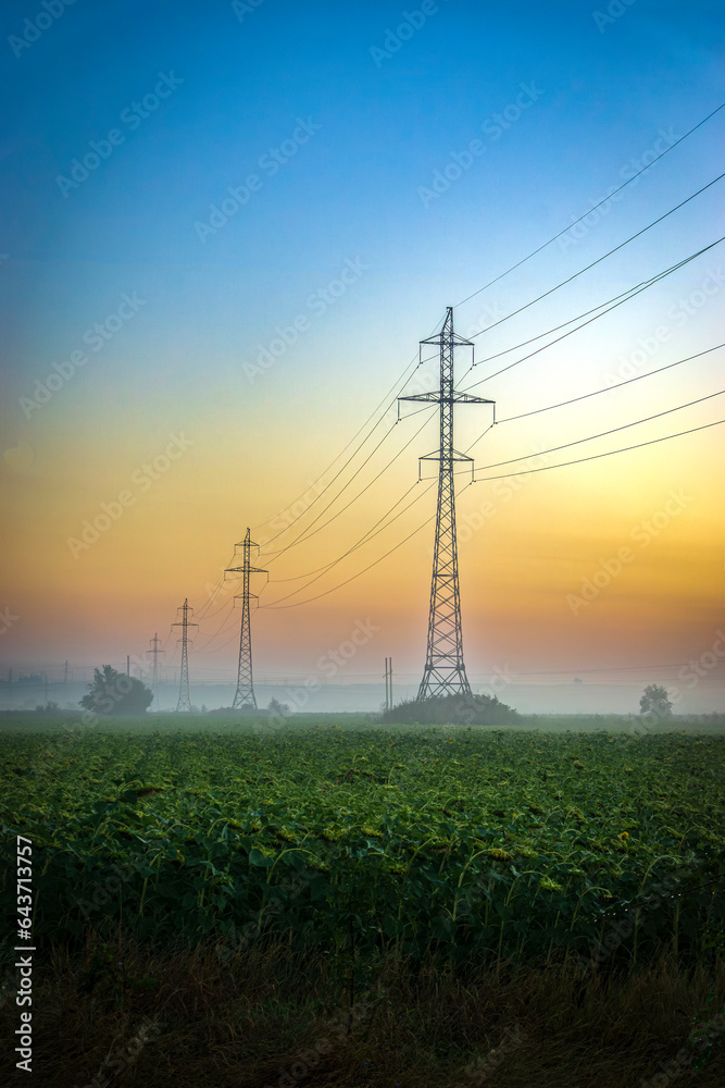 Foggy dawn over a high-voltage power line