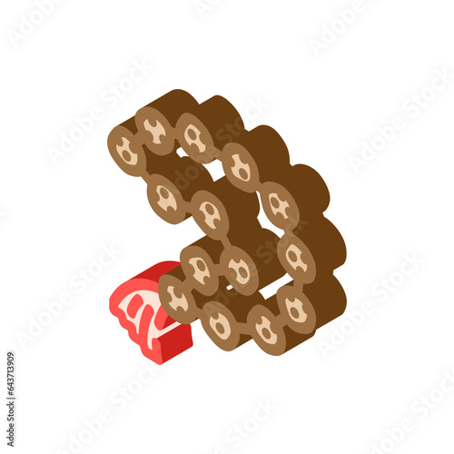 rudraksha beads isometric icon vector. rudraksha beads sign. isolated symbol illustration