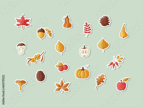 Set of autumn season stickers. Collection of fall harvest festival or thanksgiving elements: maple leaf, pumpkin, berries and fruits. Color vector illustration.