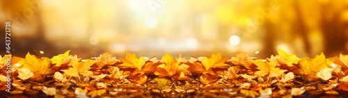 Autumn banner with orange maple leaves. Postcard with copy space. Blurred background for design. Generative AI