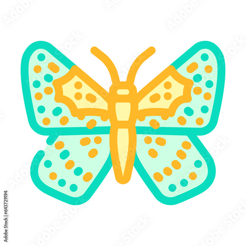 mormon metalmark insect color icon vector. mormon metalmark insect sign. isolated symbol illustration photo