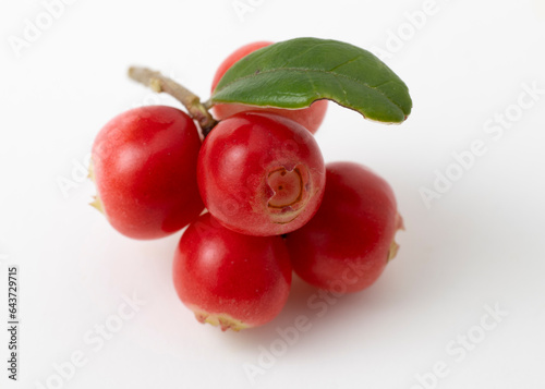 Red ripe lingonberry with leaves on white background.