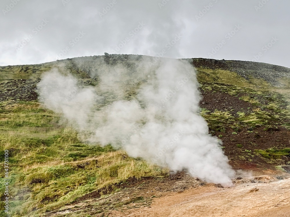 Fototapeta premium Mossy and wetland terrain of Reykjadalur Valley, Iceland. Valley is known for its mudpots, soda springs and geothermal activity.