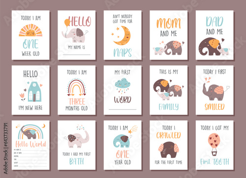 Cute cartoon baby milestone cards in boho style.