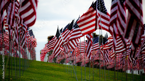 american flag in the wind