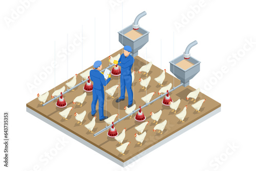 Isometric Indoors Chicken Farm, Chicken Feeding. Poultry Farm Web Banner