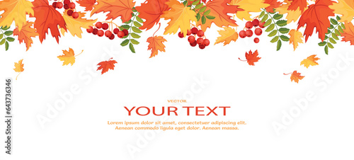 Autumn background with maple leaves and rowan. Seamless border of colorful leaves. Background template with place for your text. Isolated. Vector illustration