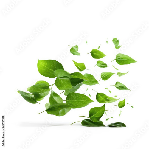 green leaf texture  nature background  tropical leaf