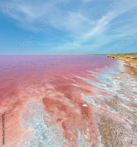 Pink extremely salty Syvash Lake, colored by microalgae with crystalline salt depositions. Also known as the Putrid Sea or Rotten Sea. Ukraine, Kherson Region, near Crimea and Arabat Spit.
