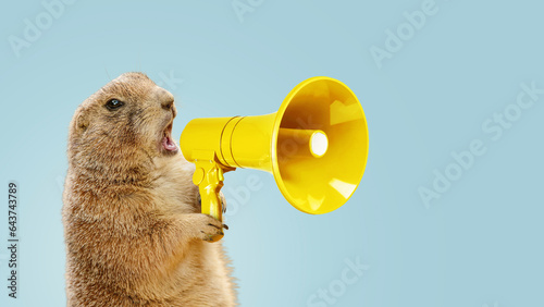 Photos Funny gopher is holding a loudspeaker and screaming on a blue background