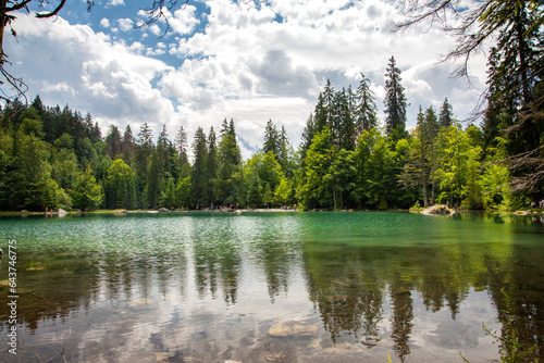 Fototapeta Naklejka Na Ścianę i Meble -  Le lac vert et ses environs