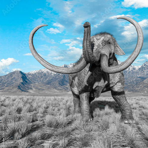 mammoth is angry in plains and mountains © DM7