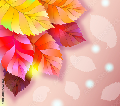 Autumn fantasy background, elm leaves of different shades on a beige background.