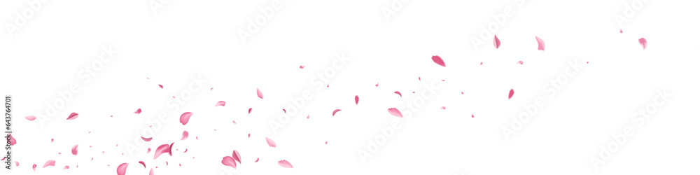 Delicate Lotus Fall Vector White Panoramic