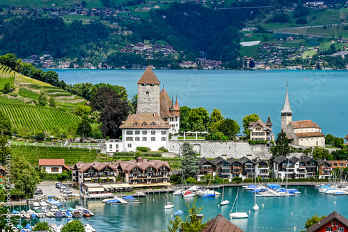 Spiez, Schloss Spiez, Schlosskirche, Stadt, Seeufer, Boote, Hafen, Thunersee, Schifffahrt, Seerundfahrt, Weinberge, Beatenberg, Niederhorn, Aussichtspunkt, Sommer, Schweiz  photo