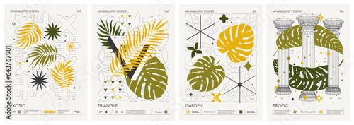 Modern geometric vector color Minimalistic Posters with simple shapes, and exotic leaves, tropical plants, Artwork with silhouette abstract graphic elements basic figures, inspired by brutalism, set47