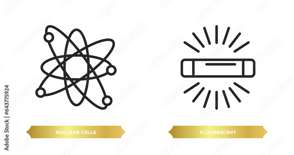 two editable outline icons from user interface concept. thin line icons such as nuclear cells, fluorescent vector. two editable outline icons from user interface concept. thin line icons such as nuclear cells, fluorescent vector.