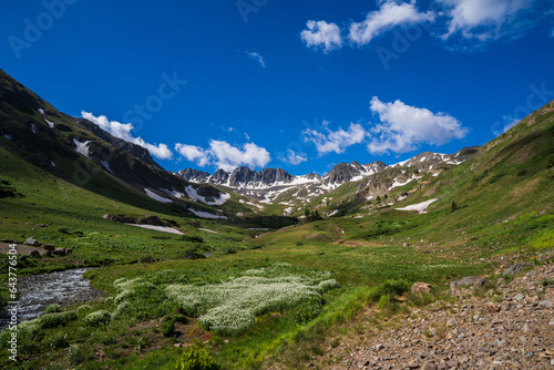 American Basin with green tundra and white flowers