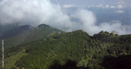 Forêt de Saou