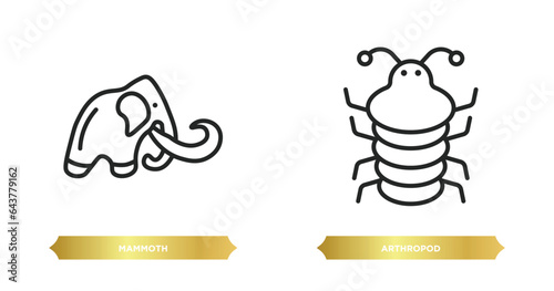 two editable outline icons from stone age concept. thin line icons such as mammoth, arthropod vector.
