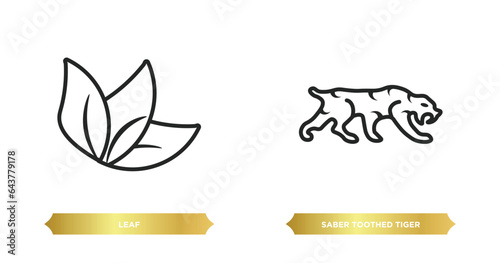 two editable outline icons from stone age concept. thin line icons such as leaf, saber toothed tiger vector.