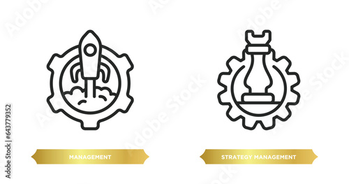 two editable outline icons from startup stategy and concept. thin line icons such as management, strategy management vector.