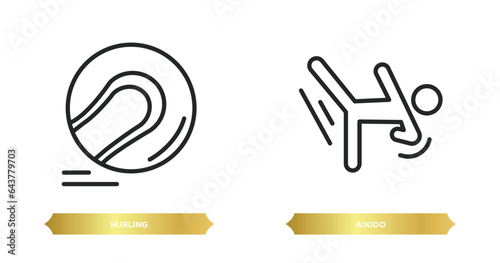 two editable outline icons from sport concept. thin line icons such as hurling, aikido vector.