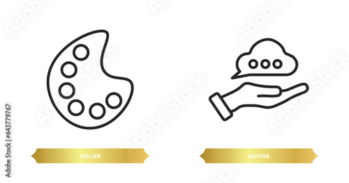 two editable outline icons from social media marketing concept. thin line icons such as color, advise vector.