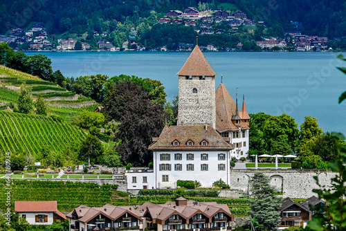 Spiez, Schloss Spiez, Schlosskirche, Stadt, Seeufer, Boote, Hafen, Thunersee, Schifffahrt, Seerundfahrt, Weinberge, Beatenberg, Niederhorn, Aussichtspunkt, Sommer, Schweiz  photo