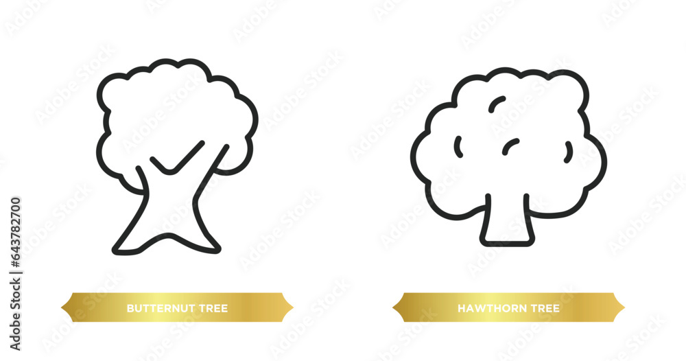 two editable outline icons from nature concept. thin line icons such as butternut tree, hawthorn tree vector.