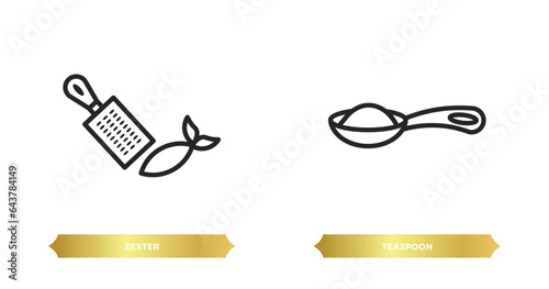 two editable outline icons from kitchen concept. thin line icons such as zester, teaspoon vector.