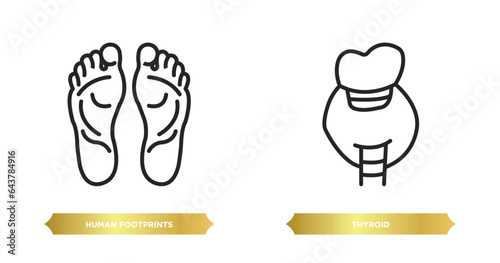 two editable outline icons from human body parts concept. thin line icons such as human footprints, thyroid vector.