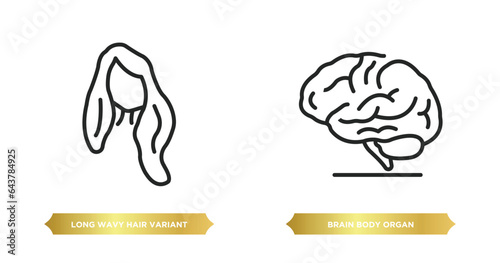 two editable outline icons from human body parts concept. thin line icons such as long wavy hair variant, brain body organ vector.