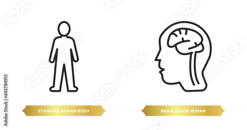 two editable outline icons from human body parts concept. thin line icons such as standing human body, brain inside human head vector.