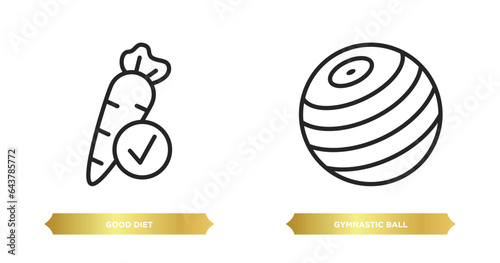 two editable outline icons from gym and fitness concept. thin line icons such as good diet, gymnastic ball vector.