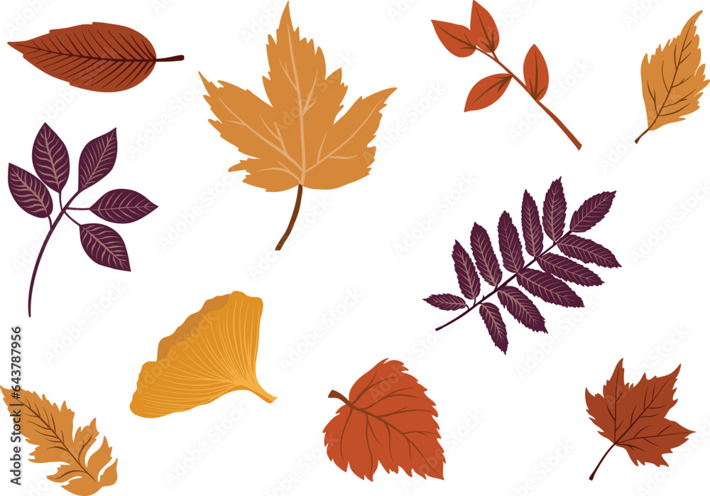 Fototapeta premium Set of colorful autumn leaves. Falling leaf