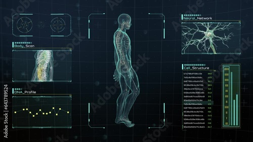Analysis of Human Male Anatomy Scan Walking on Futuristic Touch Screen Interface showing bones, organs, and neural network activity. Concept: In the Near Future of Medicine and Healthcare.