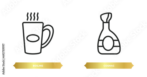 two editable outline icons from drinks concept. thin line icons such as boiling, cognac vector.