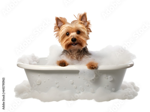 Cute little Yorkshire Terrier dog in a bath with foam, isolated on white background, cute pet concept, realistic 3d illustration, generative ai