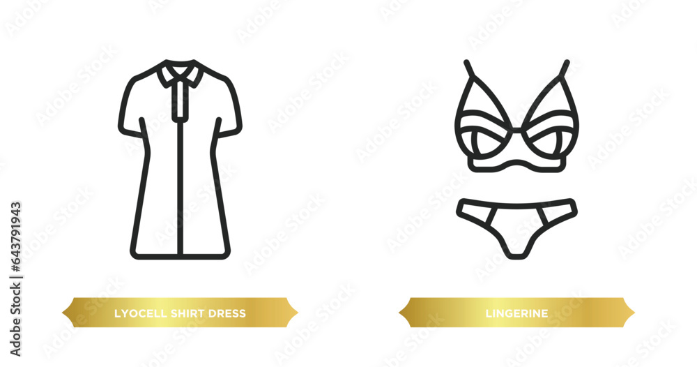 two editable outline icons from clothes concept. thin line icons such as lyocell shirt dress, lingerine vector. two editable outline icons from clothes concept. thin line icons such as lyocell shirt dress, lingerine vector.